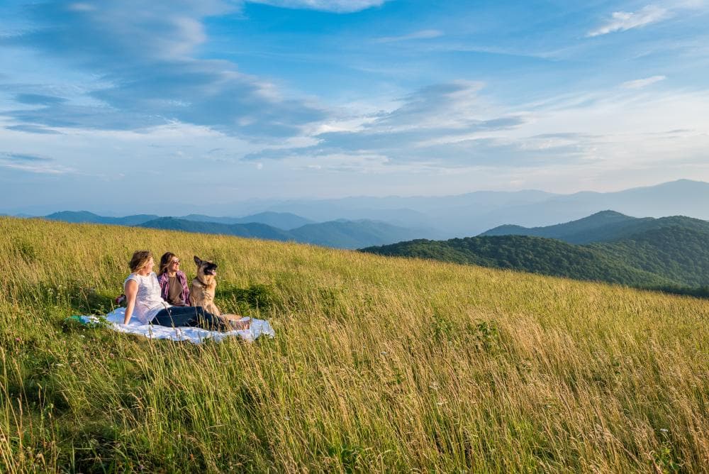 Enjoying a beautiful evening at Max Patch near Asheville, NC Enjoying a beautiful evening at Max Patch near Asheville, NC