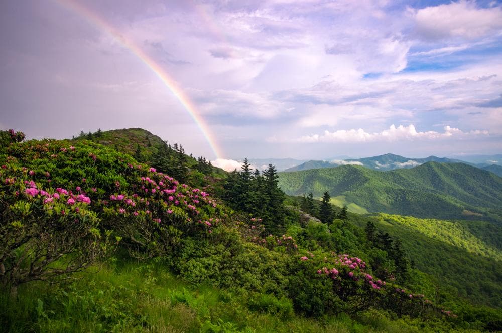 Grassy Ridge Bald at Roan Highlands Grassy Ridge Bald at Roan Highlands