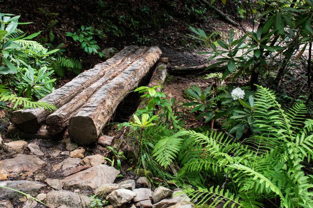 A footbridge on the Appalachian Trail headed toward Rich Mountain Fire Tower. A footbridge on the Appalachian Trail headed toward Rich Mountain Fire Tower.