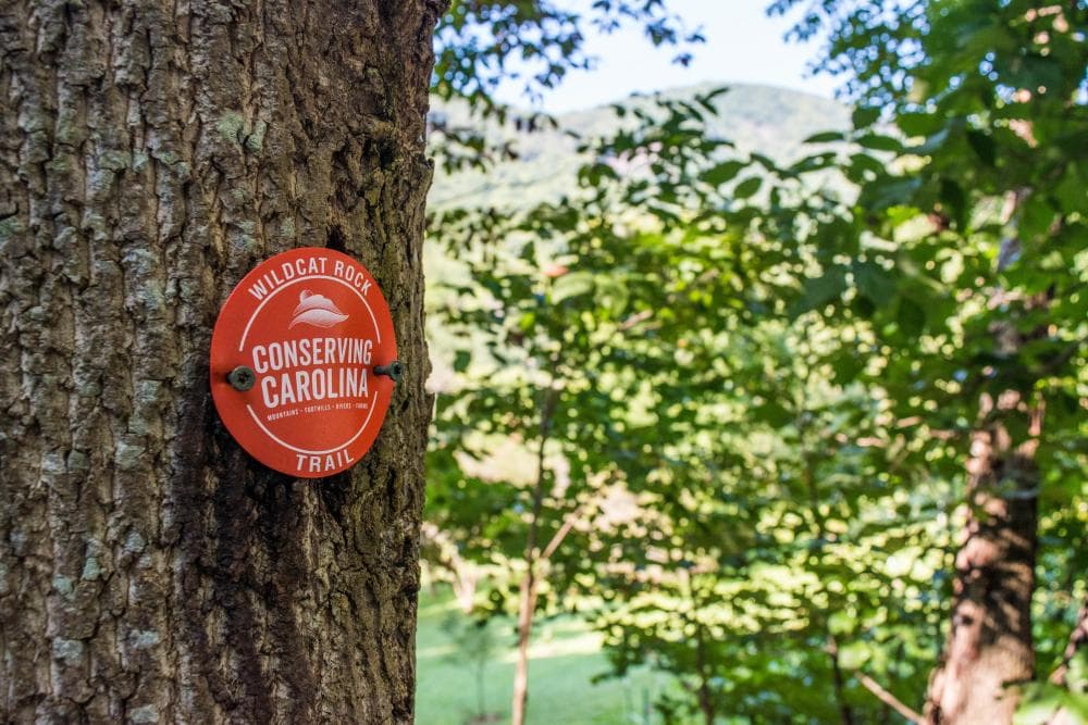 Wildcat Rock Trail Wildcat Rock Trail