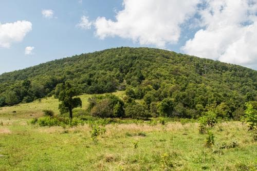 Little Bearwallow Mountain on Wildcat Rock Trail Little Bearwallow Mountain on Wildcat Rock Trail