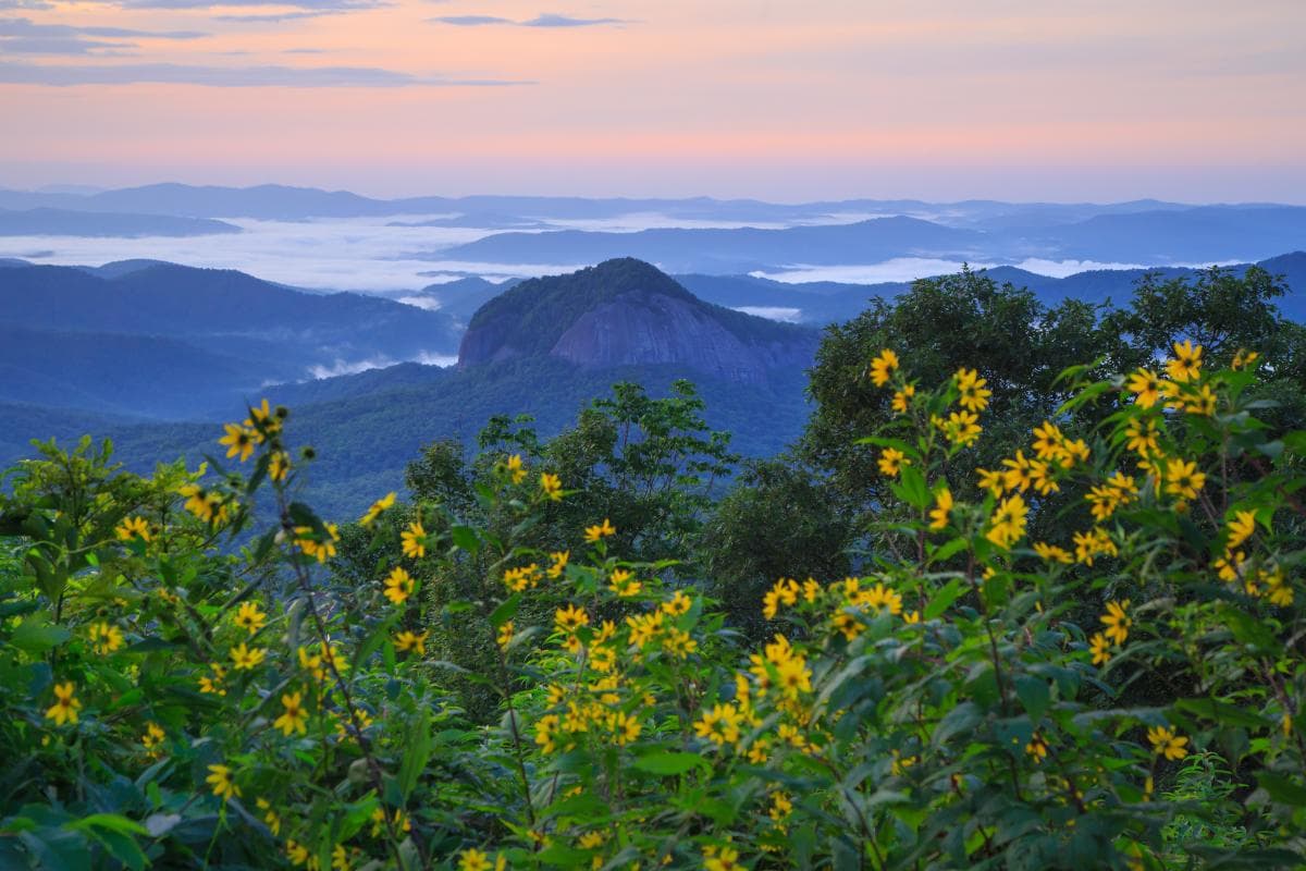 Looking Glass Rock with wildflowers Looking Glass Rock with wildflowers