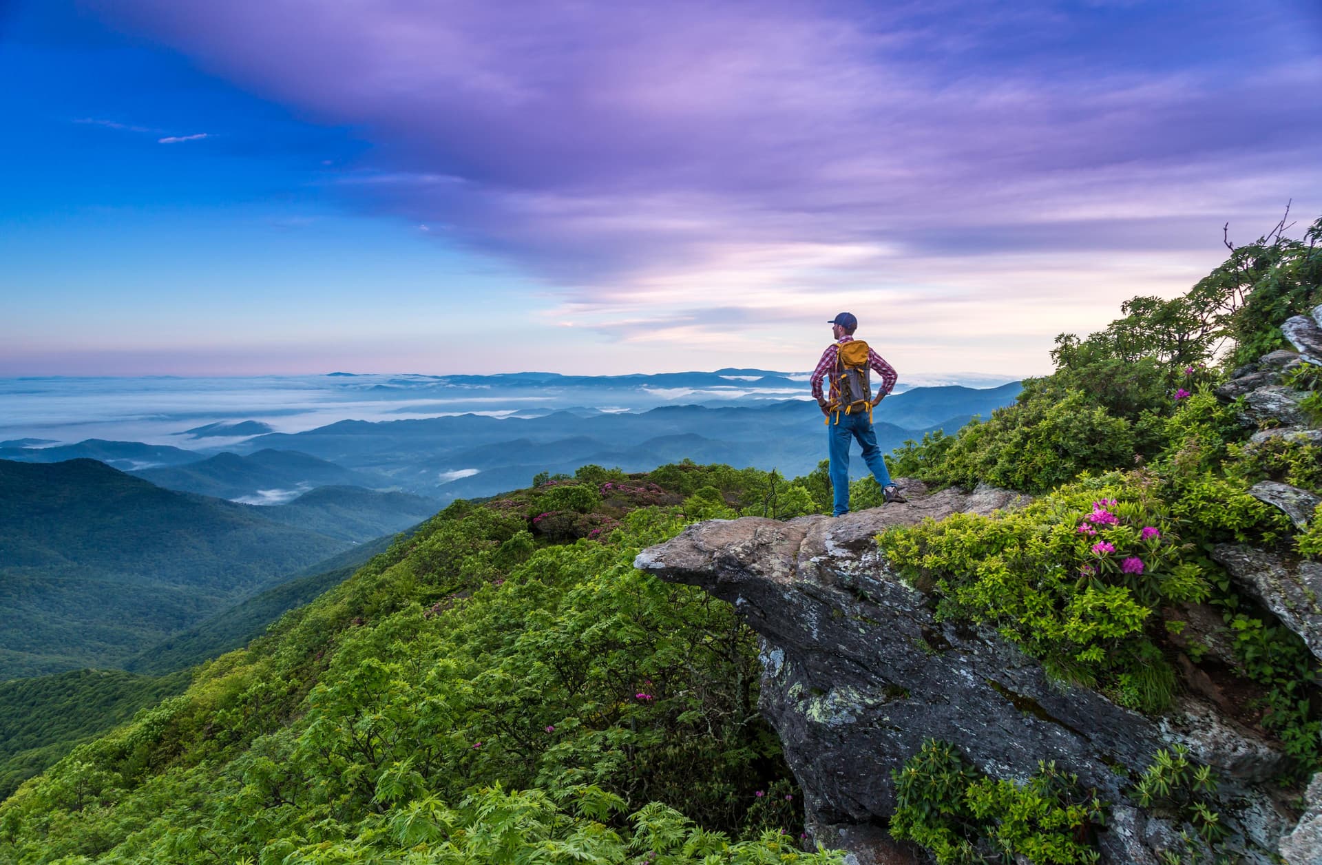 Craggy Pinnacle Hike in Asheville Craggy Pinnacle Hike in Asheville