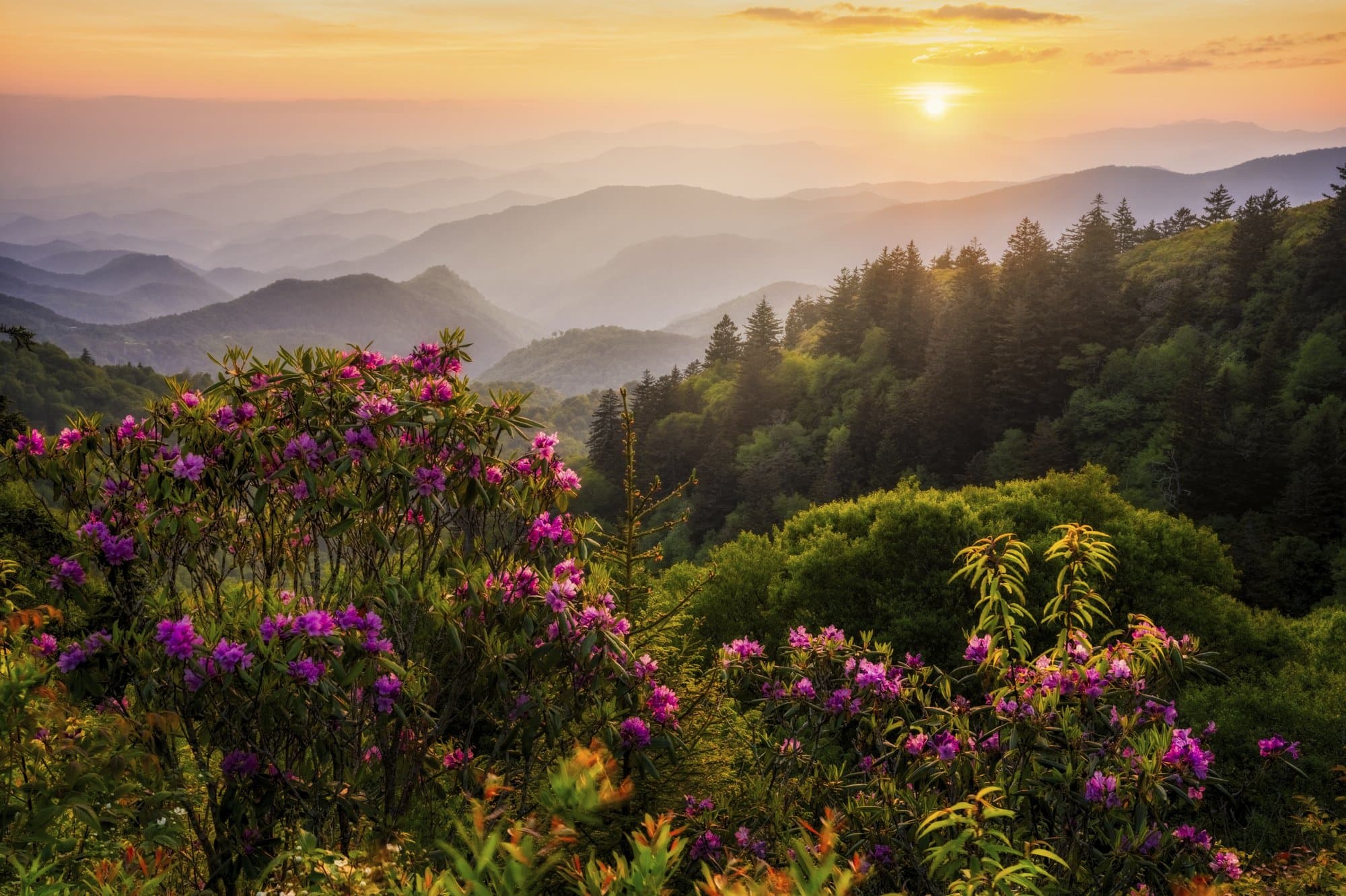 Woolyback Overlook / Photo: Luke Sutton Woolyback Overlook / Photo: Luke Sutton
