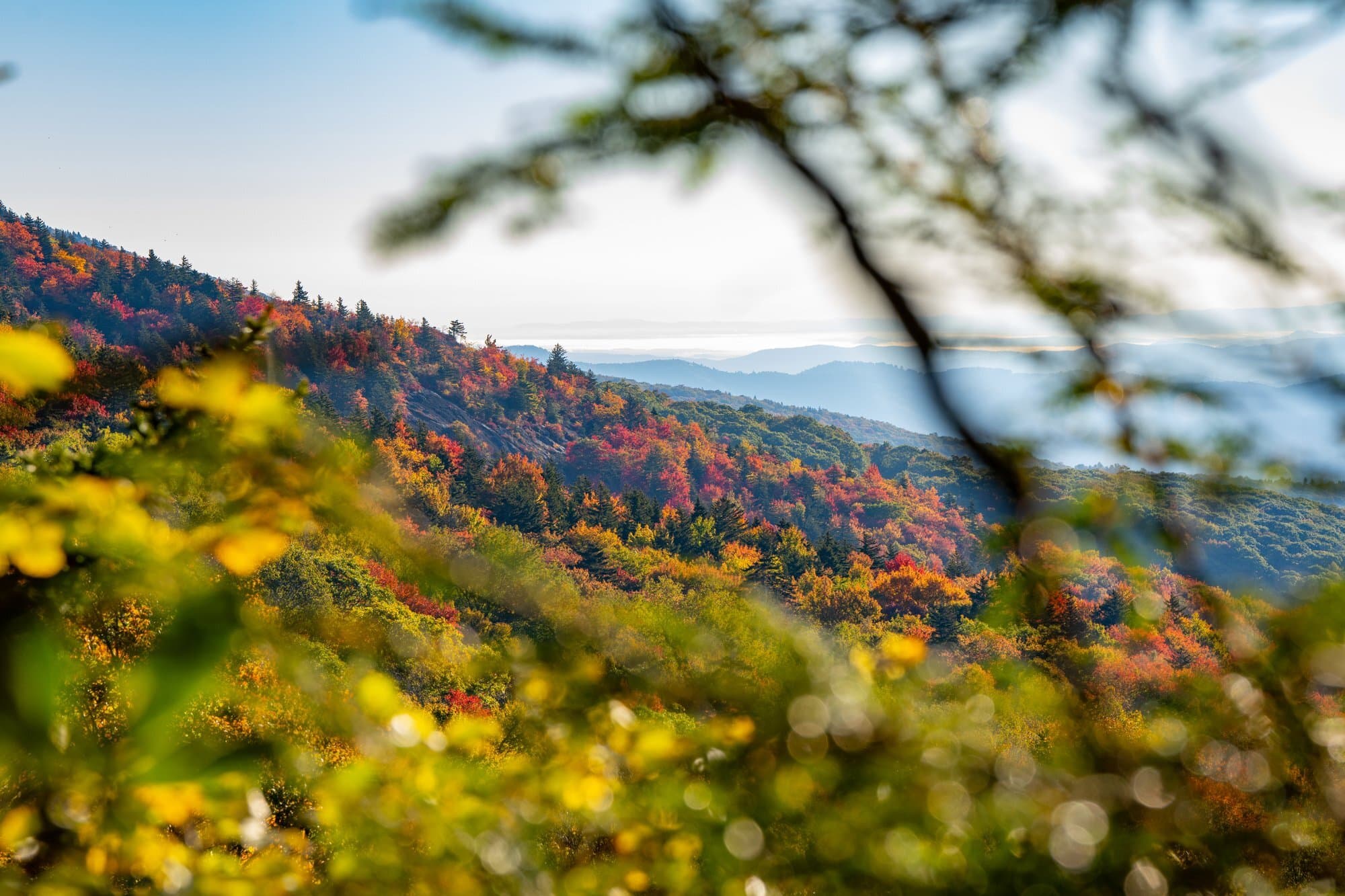 Blue Ridge Mountains in Fall / Photo: Leslie Restivo Blue Ridge Mountains in Fall / Photo: Leslie Restivo