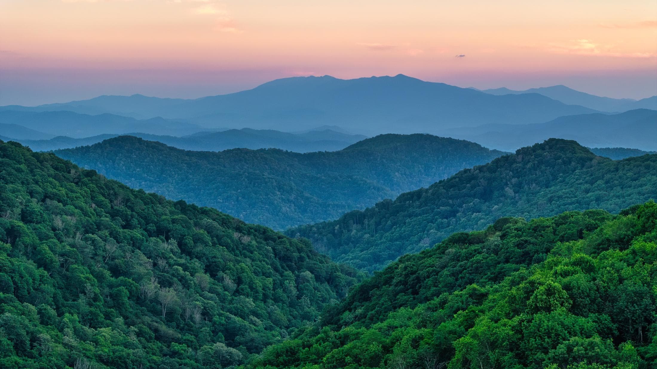 Mount Mitchell Mount Mitchell