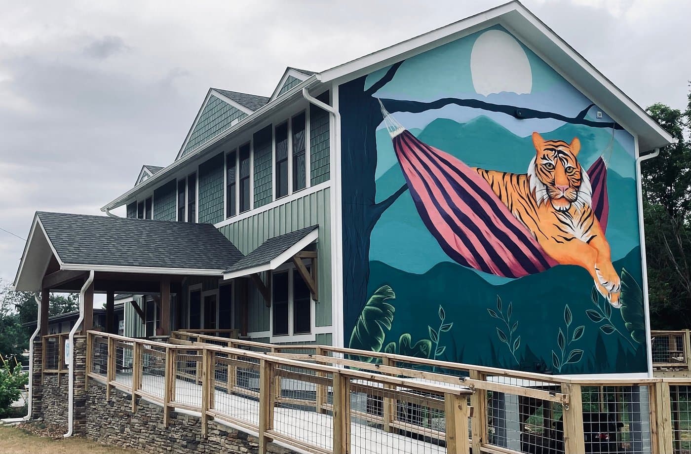 The Lazy Tiger Hostel The Lazy Tiger Hostel