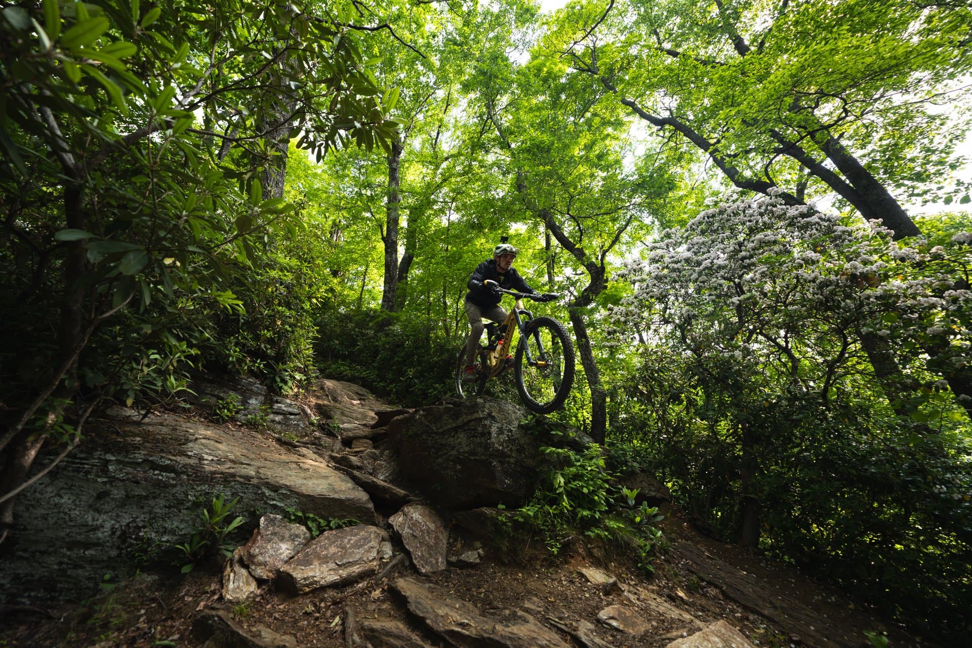 Mountain biking Pisgah National Forest / Photo: Chris Burkard Mountain biking Pisgah National Forest / Photo: Chris Burkard