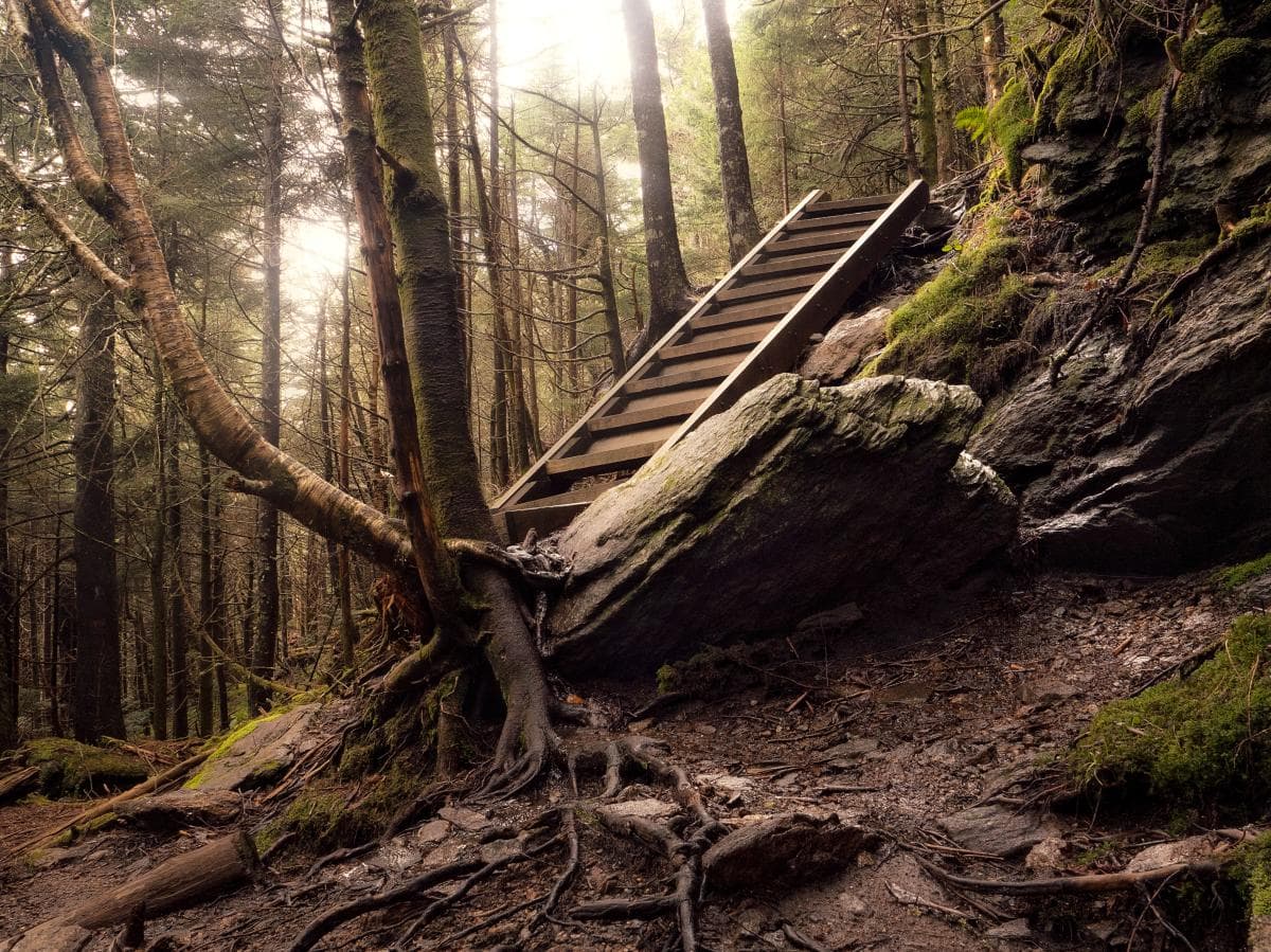 Mt Mitchell Mt Mitchell