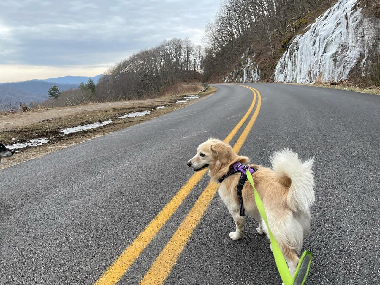 Hiking the Blue Ridge Parkway in Winter Hiking the Blue Ridge Parkway in Winter