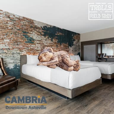 Trolls: A Field Study with Cambria Downtown Asheville