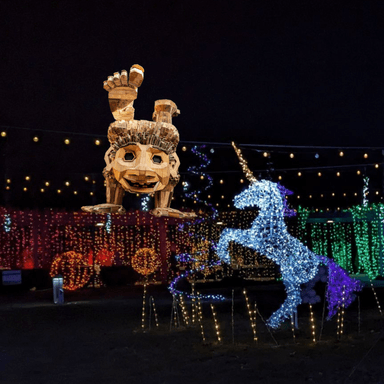 Winter Lights Troll Package