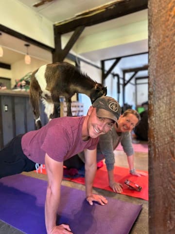 $5 off Goat Yoga