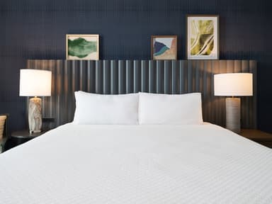 Thomas Dambo Inclusive Trolls Package