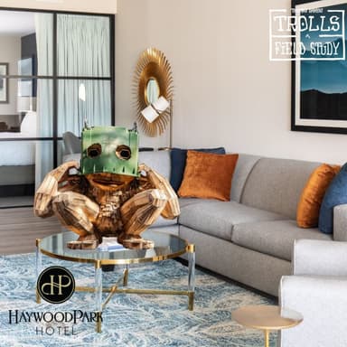 Trolls: A Field Study with Haywood Park Hotel